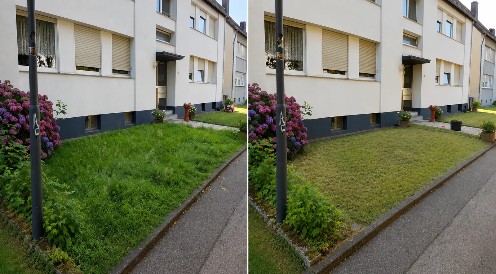 Vorher-Nachher-Zusammenstellung einer gemähten Rasenfläche