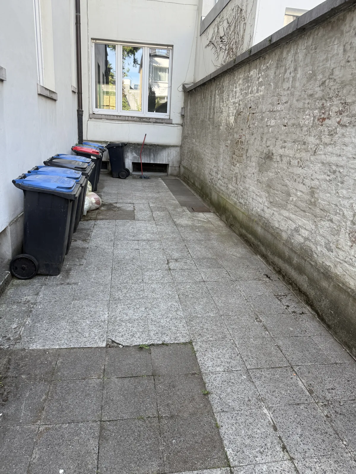 Gepflegte gepflasterte Außenanlage